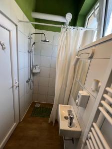 ein Bad mit einem Waschbecken und einer Dusche in der Unterkunft Cabbage Hostel in Belgrad