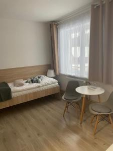 1 dormitorio con 1 cama, mesa y sillas en Jedlinka, 