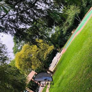 vista su un parco con erba verde e alberi di Emvuleni Bush Lodge a Pietermaritzburg