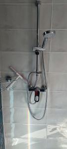 prysznic na ścianie w łazience w obiekcie Stawy u Sikory Domek Czapla w mieście Bledzew