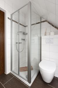 a bathroom with a shower and a toilet at Apartment Typ C im DG, Haus Friedeburg, Carolinensiel in Wittmund