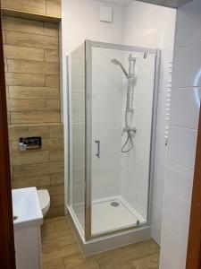 a shower with a glass door in a bathroom at Villa Dorota-Lidia Apart in Świnoujście