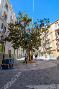 Fotografia z galérie ubytovania Letmalaga Plaza del Teatro Premium v destinácii Málaga