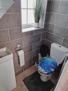 a bathroom with a toilet with a blue seat at Loughor Annnex, Llangennech , Wales 