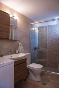 a bathroom with a shower and a toilet and a sink at Kety’s house in Exámbela +19 photos