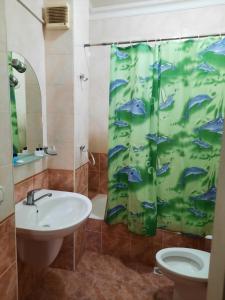 İndian hostel في باكو: حمام مع حوض وستارة دش