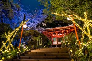 東京にあるザ・プリンス さくらタワー東京のクリスマス灯のある公園内の寺院