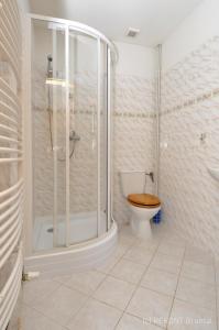 a bathroom with a shower and a toilet in it at Penzion u Vodopádu in Karlova Studánka