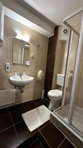 uma casa de banho com um WC e um lavatório em Club Satelit Zlatibor em Zlatibor