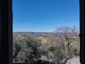 una ventana con vistas a un campo y a los árboles en Agriturismo San Rocco Verucchio en Verucchio