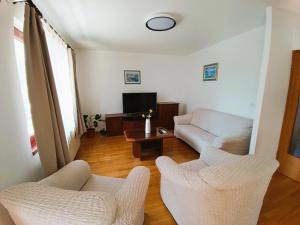 TV a/nebo společenská místnost v ubytování Apartment Katarina