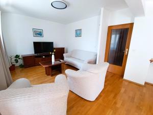TV a/nebo společenská místnost v ubytování Apartment Katarina