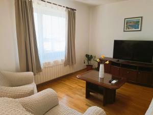 TV a/nebo společenská místnost v ubytování Apartment Katarina