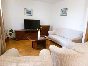 TV a/nebo společenská místnost v ubytování Apartment Katarina