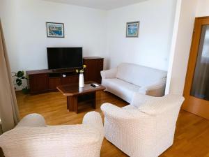 TV a/nebo společenská místnost v ubytování Apartment Katarina