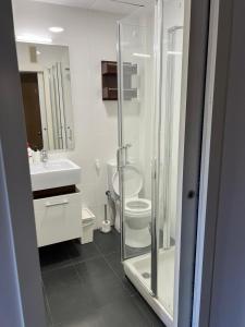 uma casa de banho com um chuveiro, um WC e um lavatório. em Valencia Central Loft em Valência