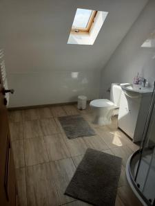 łazienka z toaletą i umywalką w obiekcie Pokoje u Izy Stare Kiejkuty w mieście Szczytno