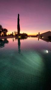 a large swimming pool with a sunset in the background at Herdade da Fonte Ferreira in Avis