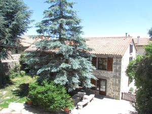 un gran pino frente a una casa en Casa Rural la Esperilla de Gredos, en Barajas de Gredos
