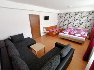 ein Wohnzimmer mit einem Sofa und einem Bett in der Unterkunft Ubytování Na Špacíru in Mikulov
