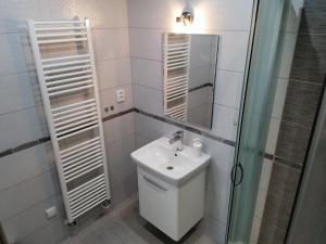 a bathroom with a sink and a mirror at Ubytování Na Špacíru in Mikulov