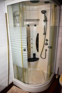 a bathroom with a shower with a toilet in it at Chalet WEITHY in Bois dʼInde