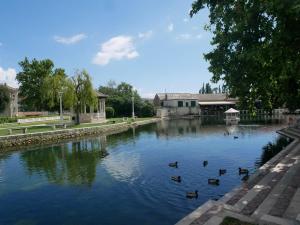 a group of ducks swimming in a river at Apartman Solin 3, parking in Solin
