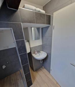 een kleine badkamer met een wastafel en een spiegel bij Das Haus im Biosphärengebiet Schwäbische Alb in Dornstadt