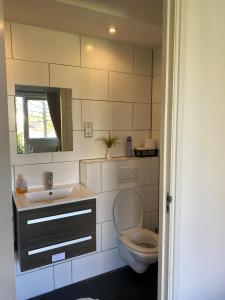 ein Bad mit einem WC und einem Waschbecken in der Unterkunft Huis van Steen in Lelystad