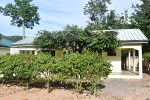 uma pequena casa branca com árvores em frente em Raffin Royal Lodge 