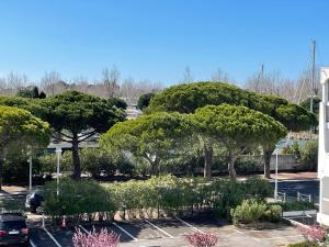 Vonkajšia záhrada v ubytovaní Joli Studio Cabine - Port Camargue - Plage Sud