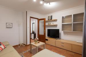 ein Wohnzimmer mit einem Sofa und einem TV in der Unterkunft Ibirriaga - baskeyrentals in Mutriku