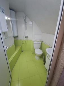 a green and white bathroom with a toilet and a shower at Apart Centar in Plovdiv