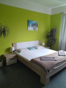 プラハにあるMotel Grádoの緑の壁のベッドルーム1室(大型ベッド1台付)