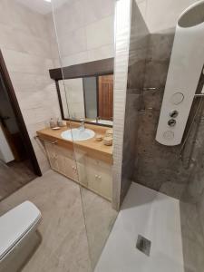 een badkamer met een wastafel, een toilet en een spiegel bij Ribeira Sacra Apartament in Monforte de Lemos