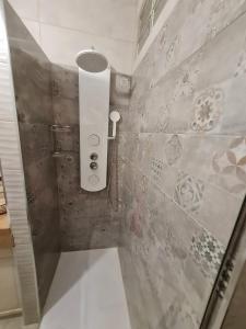 een badkamer met een douche en een muur bij Ribeira Sacra Apartament in Monforte de Lemos