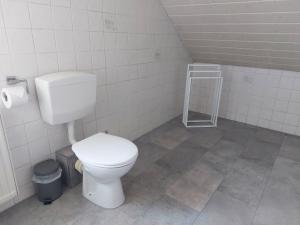 a bathroom with a white toilet in a room at Sonnige Ferienwohnung bei Familie Köhler in Kappel-Grafenhausen
