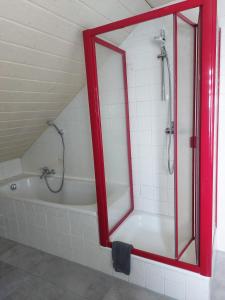 a bathroom with a shower and a tub with a mirror at Sonnige Ferienwohnung bei Familie Köhler in Kappel-Grafenhausen