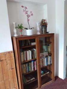 a book shelf with books and plants on top of it at Motel Grádo in Prague