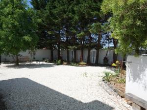 濱海拉庫阿爾德的住宿－Villa La Couarde-sur-Mer, 6 pièces, 6 personnes - FR-1-258-98，一个带长凳、树木和围栏的院子