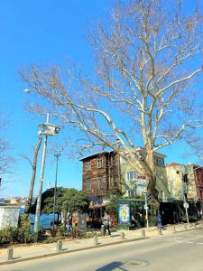 eine Straßenecke mit einem Baum und einem Gebäude in der Unterkunft Kuzguncuk View in Istanbul