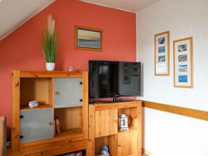 TV a/nebo společenská místnost v ubytování Apartment Vinnenhuis-1 by Interhome