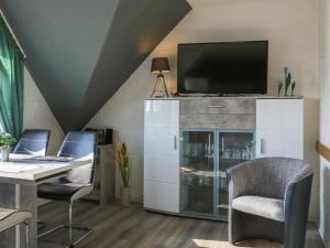 Μια τηλεόραση ή/και κέντρο ψυχαγωγίας στο Apartment Vinnenhuis-3 by Interhome