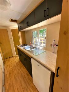 a kitchen with a sink and a counter top at Charmant Mobile Home en foret in Braize