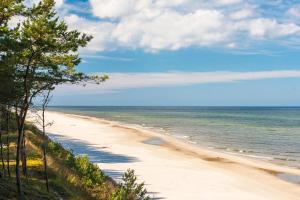 En strand ved eller i nærheten av leiligheten