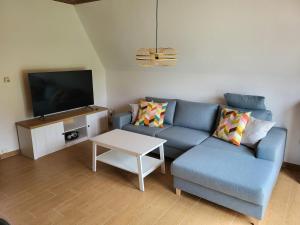 ein Wohnzimmer mit einem blauen Sofa und einem TV in der Unterkunft Ferienhaus Yanic in Neuharlingersiel
