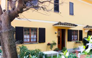żółty dom z czarnymi okiennicami i drzewem w obiekcie "Lilla" w mieście Calci