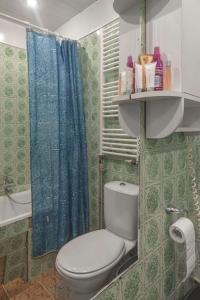 baño con aseo y cortina de ducha azul en House Perkūno al 59B, en Kaunas