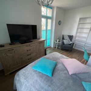 1 dormitorio con TV y 1 cama con 2 almohadas en Moderne Gästewohnung "Am Weinberg"mit Terrasse, en Oschatz