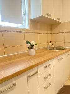 Mataruška Banja的住宿－Apartman MiNa，厨房柜台设有水槽和花瓶